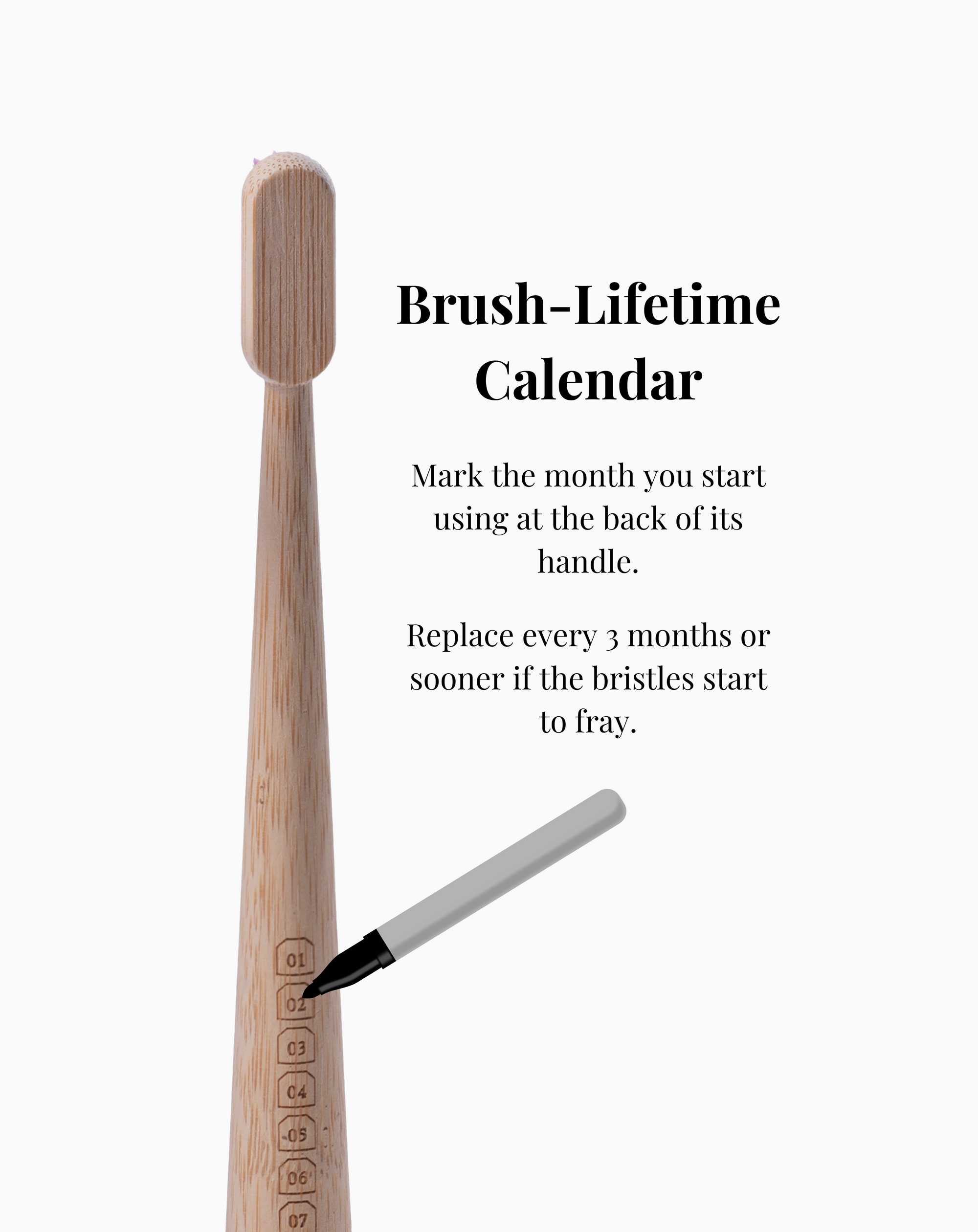 Brush-lifetime calendar